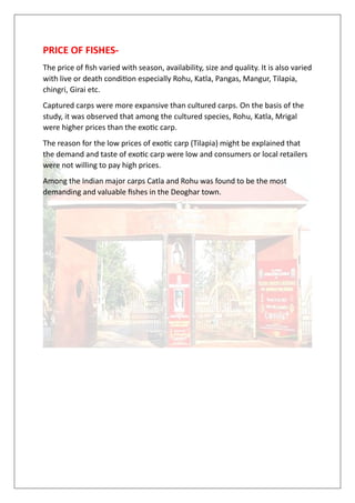 PRICE OF FISHES-
The price of fish varied with season, availability, size and quality. It is also varied
with live or death condition especially Rohu, Katla, Pangas, Mangur, Tilapia,
chingri, Girai etc.
Captured carps were more expansive than cultured carps. On the basis of the
study, it was observed that among the cultured species, Rohu, Katla, Mrigal
were higher prices than the exotic carp.
The reason for the low prices of exotic carp (Tilapia) might be explained that
the demand and taste of exotic carp were low and consumers or local retailers
were not willing to pay high prices.
Among the Indian major carps Catla and Rohu was found to be the most
demanding and valuable fishes in the Deoghar town.
 