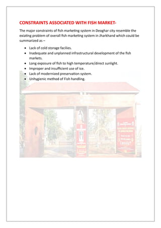 CONSTRAINTS ASSOCIATED WITH FISH MARKET-
The major constraints of fish marketing system in Deoghar city resemble the
exiating problem of overall fish marketing system in Jharkhand which could be
summarized as –
• Lack of cold storage facilies.
• Inadequate and unplanned infrastructural development of the fish
markets.
• Long exposure of fish to high temperature/direct sunlight.
• Improper and insufficient use of ice.
• Lack of modernized preservation system.
• Unhygienic method of Fish handling.
 