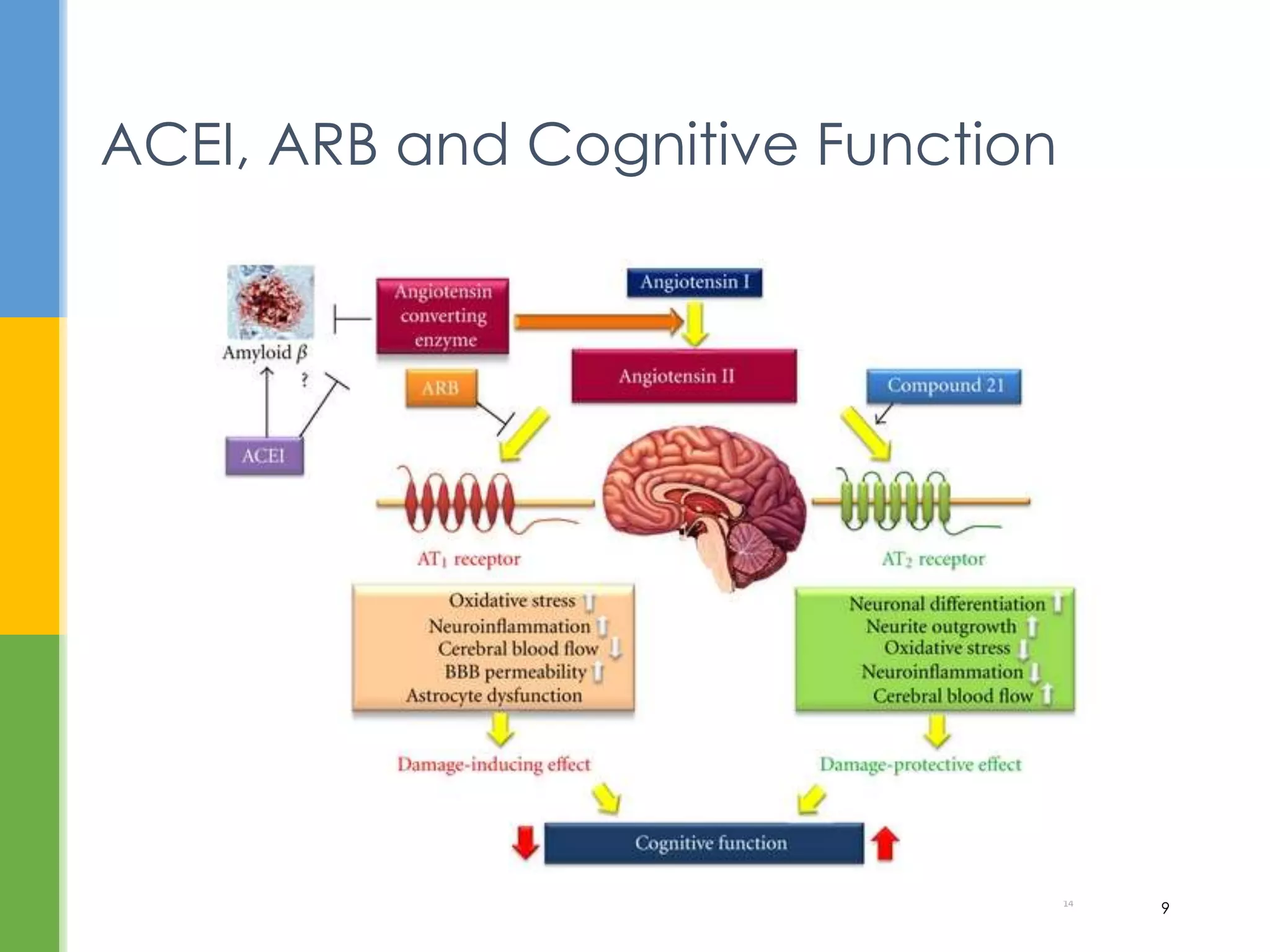 ACEI, ARB and Cognitive Function
14
9
 