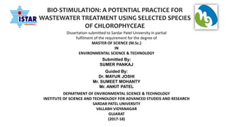 BIO-STIMULATION: A POTENTIAL PRACTICE FOR
WASTEWATER TREATMENT USING SELECTED SPECIES
OF CHLOROPHYCEAE
Dissertation submitted to Sardar Patel University in partial
fulfilment of the requirement for the degree of
MASTER OF SCIENCE (M.Sc.)
IN
ENVIRONMENTAL SCIENCE & TECHNOLOGY
Submitted By:
SUMER PANKAJ
Guided By:
Dr. MAYUR JOSHI
Mr. SUMEET MOHANTY
Mr. ANKIT PATEL
DEPARTMENT OF ENVIRONMENTAL SCIENCE & TECHNOLOGY
INSTITUTE OF SCIENCE AND TECHNOLOGY FOR ADVANCED STUDEIS AND RESEARCH
SARDAR PATEL UNIVERSITY
VALLABH VIDYANAGAR
GUJARAT
(2017-18)
 