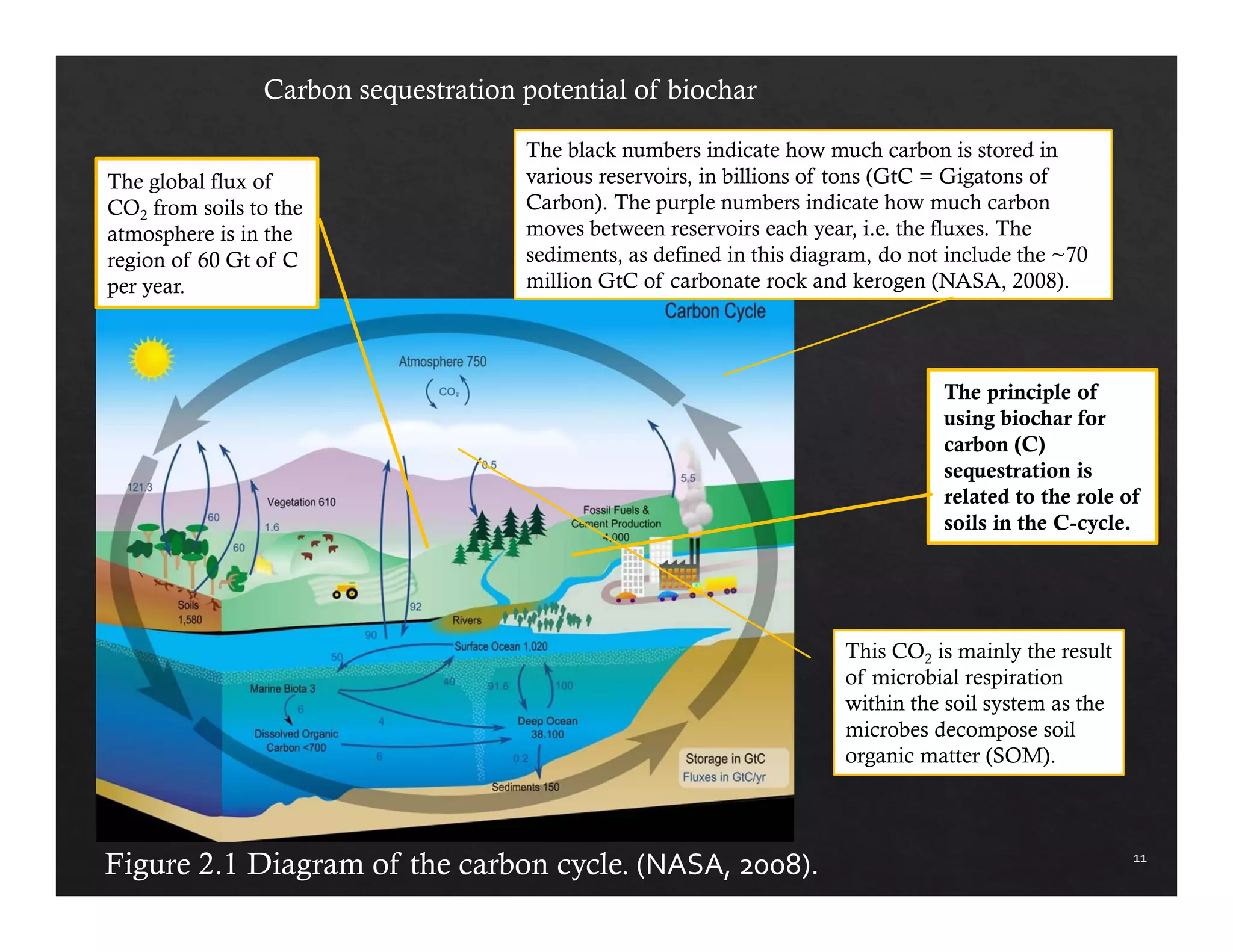 11 
Carbon sequestration potential of biochar 
The global flux of 
CO2 from soils to the 
atmosphere is in the 
region of 60 Gt of C 
per year. 
The black numbers indicate how much carbon is stored in 
various reservoirs, in billions of tons (GtC = Gigatons of 
Carbon). The purple numbers indicate how much carbon 
moves between reservoirs each year, i.e. the fluxes. The 
sediments, as defined in this diagram, do not include the ~70 
million GtC of carbonate rock and kerogen (NASA, 2008). 
Figure 2.1 Diagram of the carbon cycle. (NASA, 2008). 
The principle of 
using biochar for 
carbon (C) 
sequestration is 
related to the role of 
soils in the C-cycle. 
This CO2 is mainly the result 
of microbial respiration 
within the soil system as the 
microbes decompose soil 
organic matter (SOM). 
 
