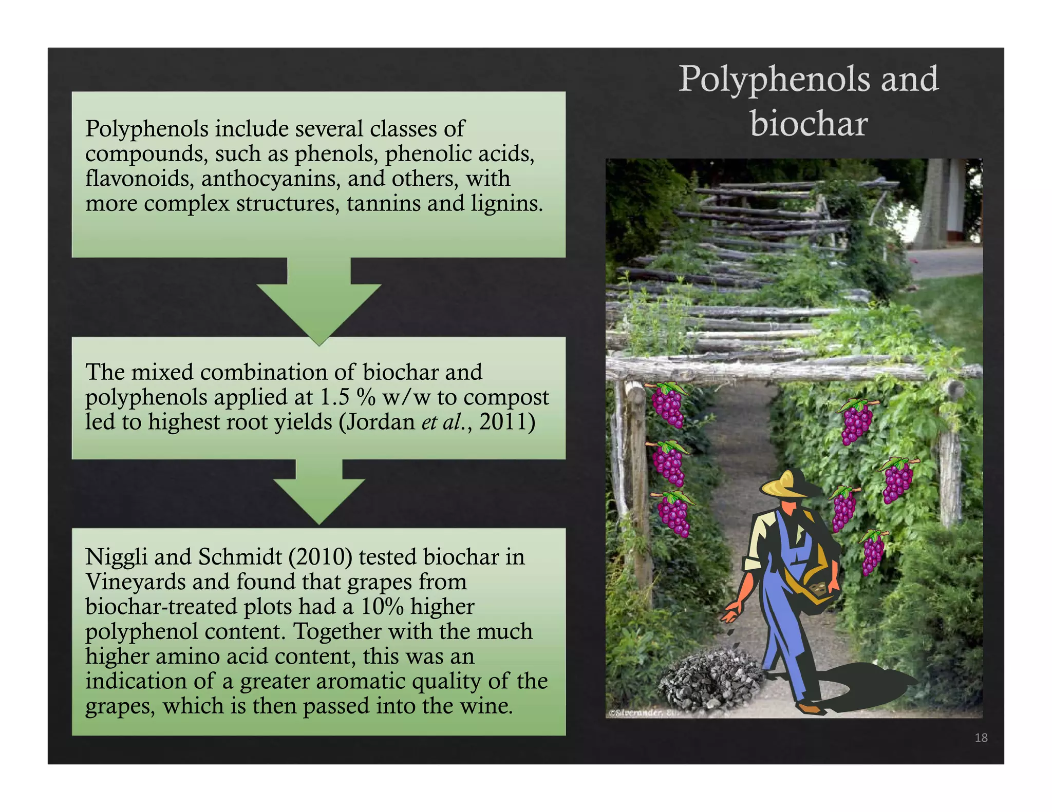 Polyphenols include several classes of 
compounds, such as phenols, phenolic acids, 
flavonoids, anthocyanins, and others, with 
more complex structures, tannins and lignins. 
The mixed combination of biochar and 
polyphenols applied at 1.5 % w/w to compost 
led to highest root yields (Jordan et al., 2011) 
Niggli and Schmidt (2010) tested biochar in 
Vineyards and found that grapes from 
biochar-treated plots had a 10% higher 
polyphenol content. Together with the much 
higher amino acid content, this was an 
indication of a greater aromatic quality of the 
grapes, which is then passed into the wine. 
18 
 