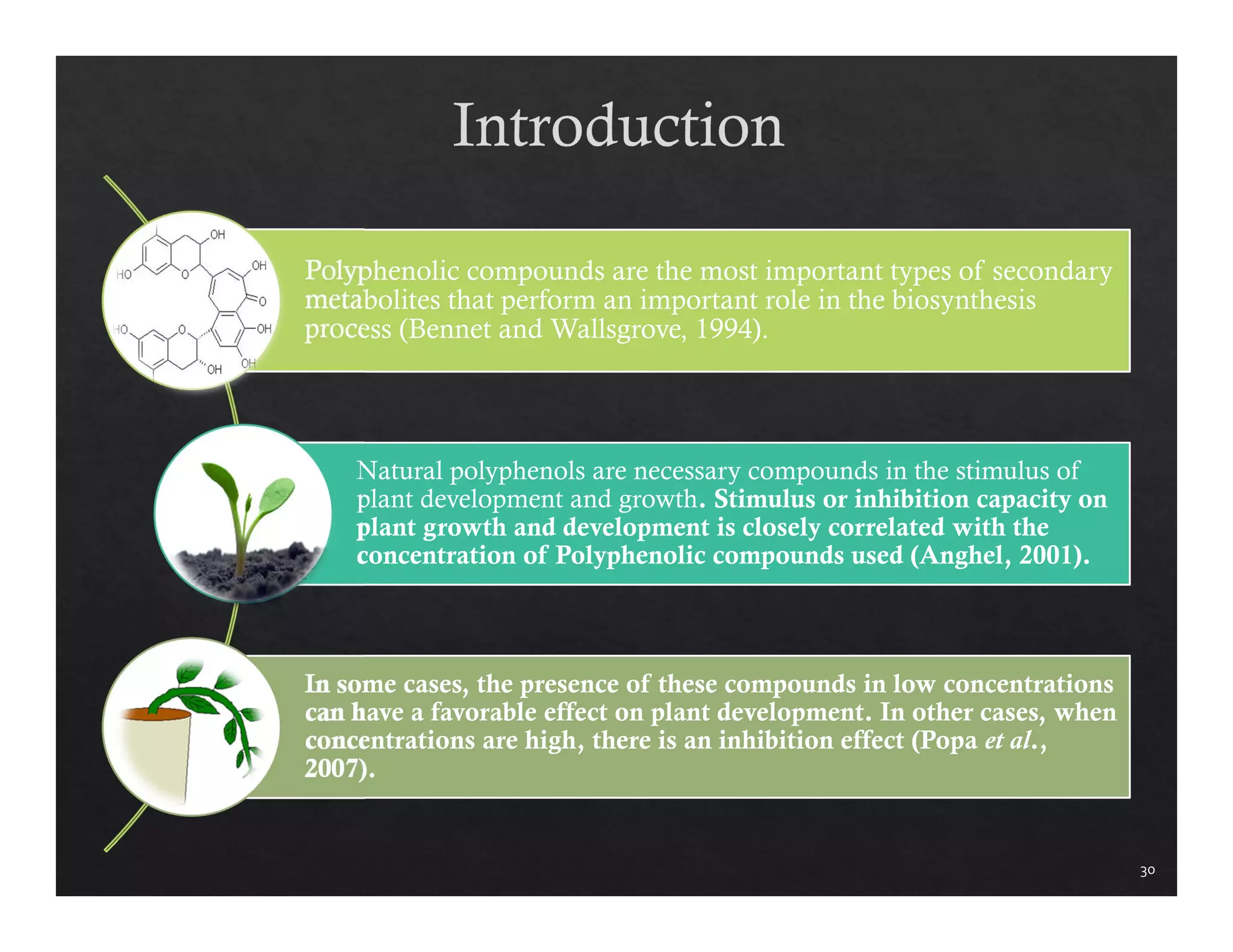 30 
Polyphenolic compounds are the most important types of secondary 
metabolites that perform an important role in the biosynthesis 
process (Bennet and Wallsgrove, 1994). 
Natural polyphenols are necessary compounds in the stimulus of 
plant development and growth. Stimulus or inhibition capacity on 
plant growth and development is closely correlated with the 
concentration of Polyphenolic compounds used (Anghel, 2001). 
In some cases, the presence of these compounds in low concentrations 
can have a favorable effect on plant development. In other cases, when 
concentrations are high, there is an inhibition effect (Popa et al., 
2007). 
 