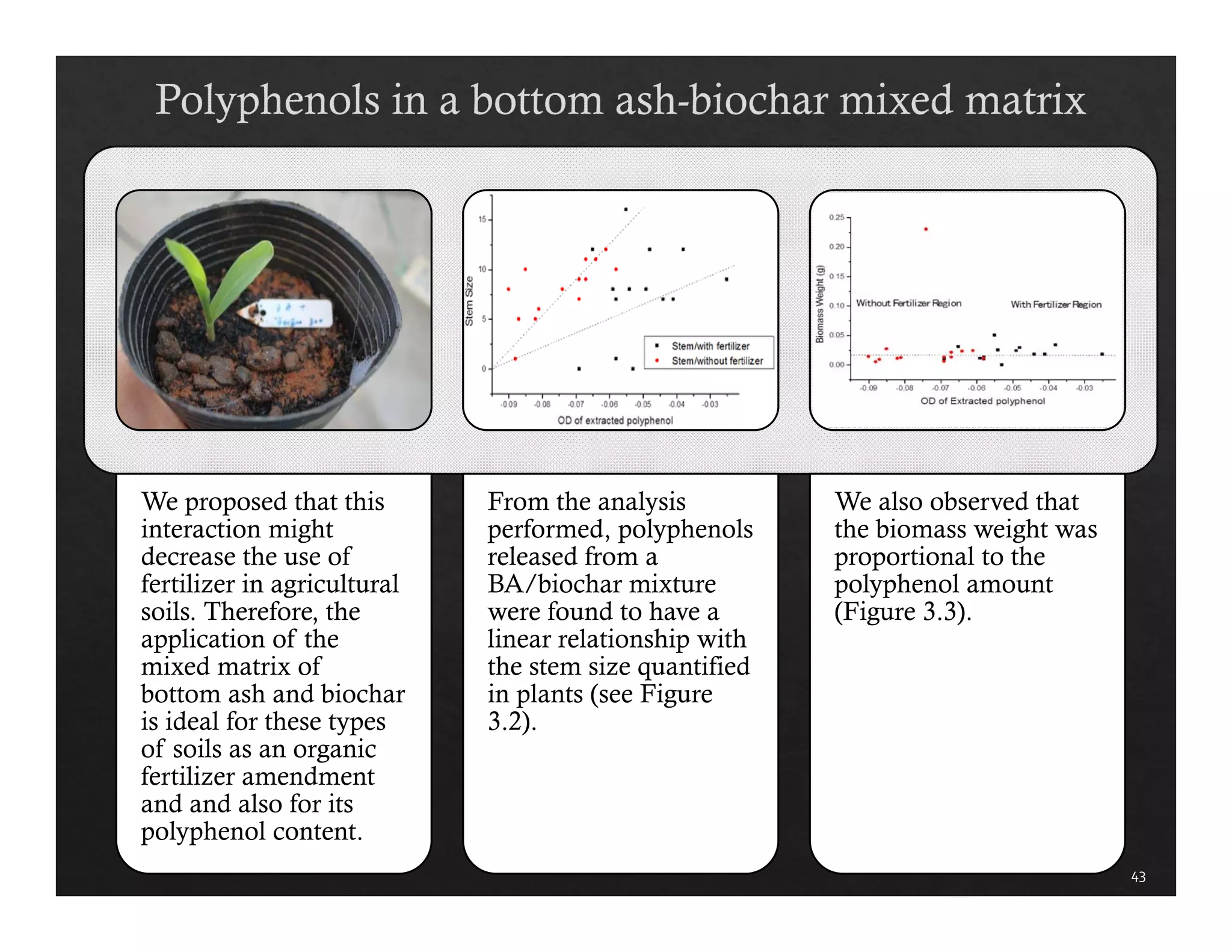 43 
We proposed that this 
interaction might 
decrease the use of 
fertilizer in agricultural 
soils. Therefore, the 
application of the 
mixed matrix of 
bottom ash and biochar 
is ideal for these types 
of soils as an organic 
fertilizer amendment 
and and also for its 
polyphenol content. 
From the analysis 
performed, polyphenols 
released from a 
BA/biochar mixture 
were found to have a 
linear relationship with 
the stem size quantified 
in plants (see Figure 
3.2). 
We also observed that 
the biomass weight was 
proportional to the 
polyphenol amount 
(Figure 3.3). 
 