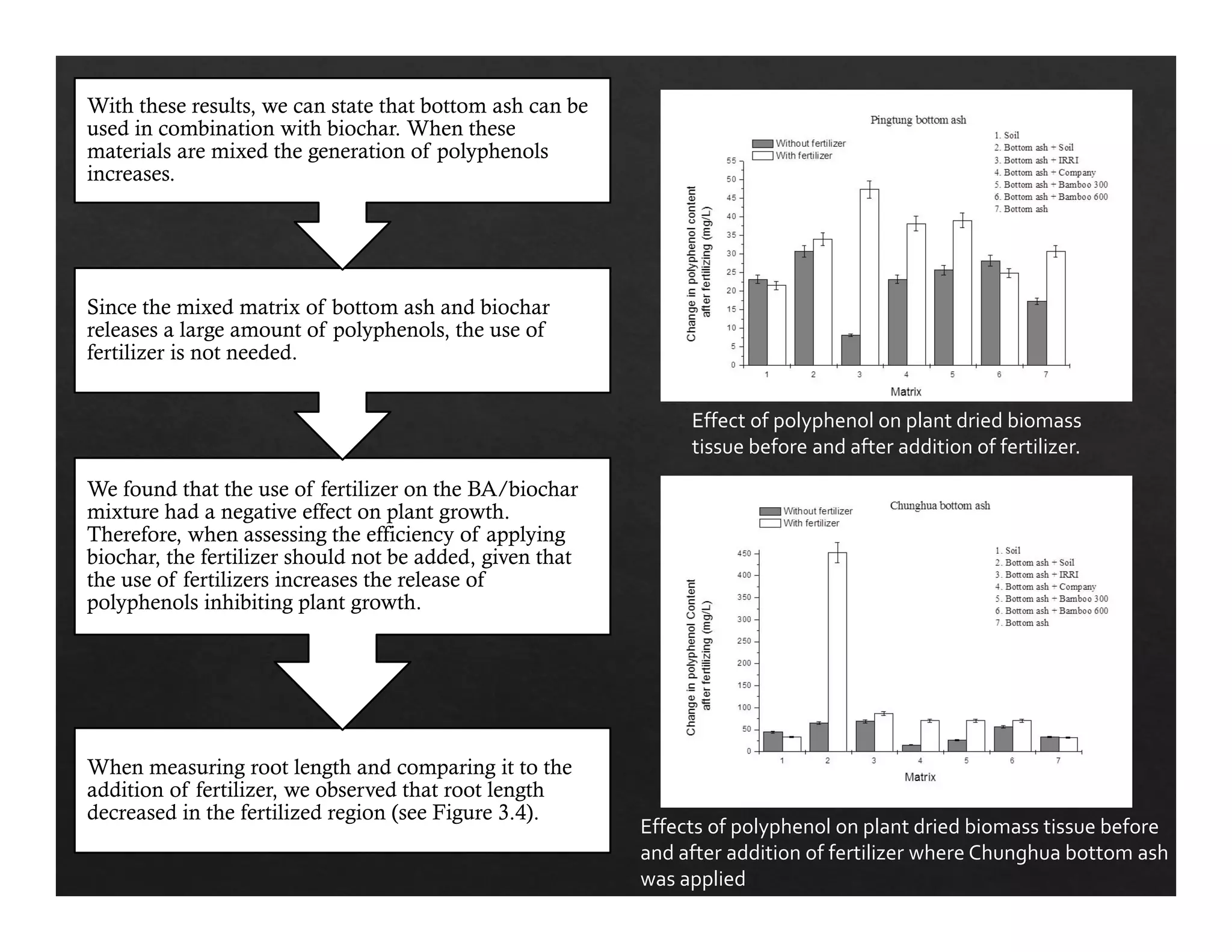 With these results, we can state that bottom ash can be 
used in combination with biochar. When these 
materials are mixed the generation of polyphenols 
increases. 
Since the mixed matrix of bottom ash and biochar 
releases a large amount of polyphenols, the use of 
fertilizer is not needed. 
We found that the use of fertilizer on the BA/biochar 
mixture had a negative effect on plant growth. 
Therefore, when assessing the efficiency of applying 
biochar, the fertilizer should not be added, given that 
the use of fertilizers increases the release of 
polyphenols inhibiting plant growth. 
When measuring root length and comparing it to the 
addition of fertilizer, we observed that root length 
decreased in the fertilized region (see Figure 3.4). 
Effect of polyphenol on plant dried biomass 
tissue before and after addition of fertilizer. 
Effects of polyphenol on plant dried biomass tissue before 
and after addition of fertilizer where Chunghua bottom ash 
was applied 
 
