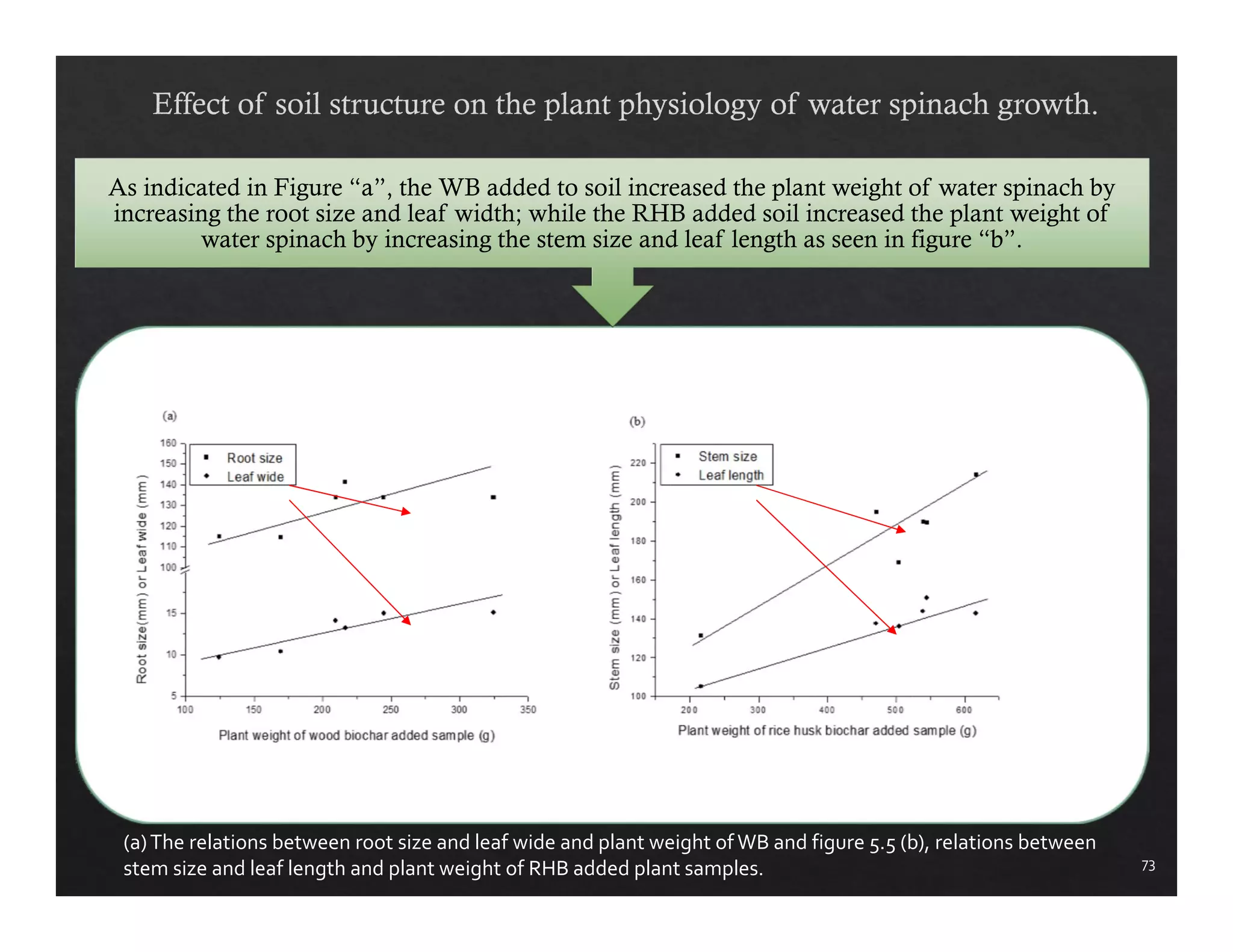 As indicated in Figure “a”, the WB added to soil increased the plant weight of water spinach by 
increasing the root size and leaf width; while the RHB added soil increased the plant weight of 
water spinach by increasing the stem size and leaf length as seen in figure “b”. 
73 
(a) The relations between root size and leaf wide and plant weight of WB and figure 5.5 (b), relations between 
stem size and leaf length and plant weight of RHB added plant samples. 
 