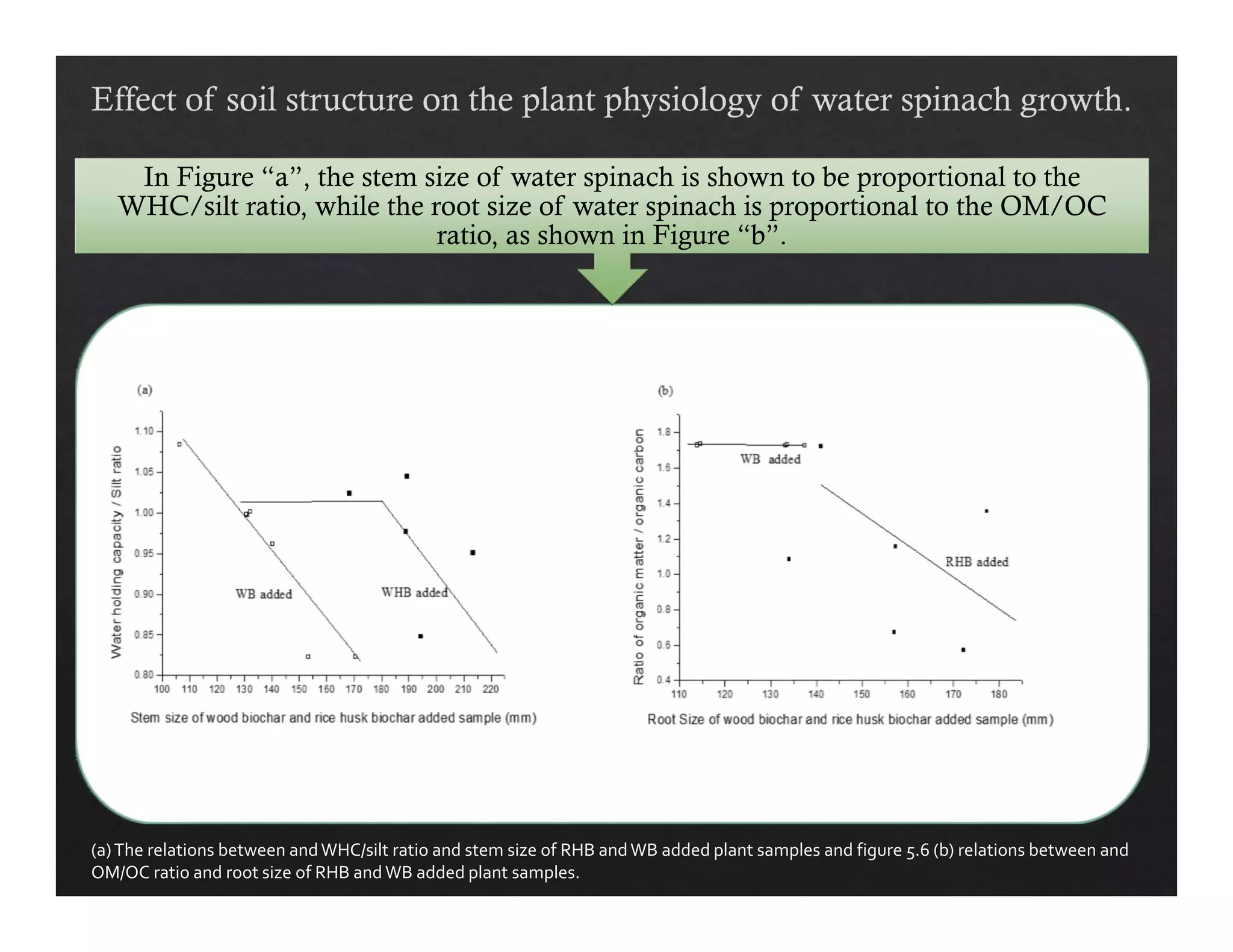 In Figure “a”, the stem size of water spinach is shown to be proportional to the 
WHC/silt ratio, while the root size of water spinach is proportional to the OM/OC 
74 
ratio, as shown in Figure “b”. 
(a) The relations between and WHC/silt ratio and stem size of RHB and WB added plant samples and figure 5.6 (b) relations between and 
OM/OC ratio and root size of RHB and WB added plant samples. 
 
