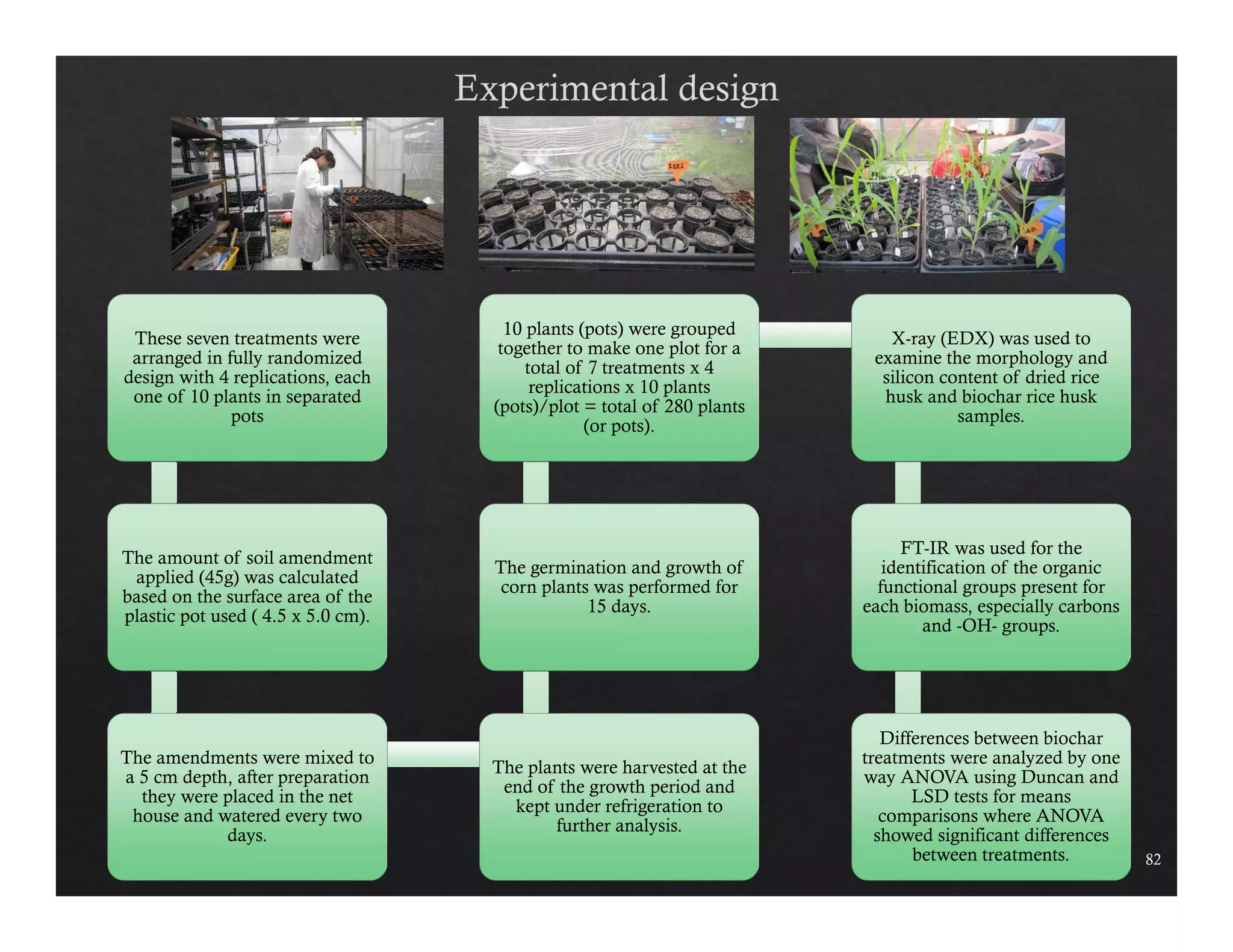 82 
These seven treatments were 
arranged in fully randomized 
design with 4 replications, each 
one of 10 plants in separated 
pots 
The amount of soil amendment 
applied (45g) was calculated 
based on the surface area of the 
plastic pot used ( 4.5 x 5.0 cm). 
The amendments were mixed to 
a 5 cm depth, after preparation 
they were placed in the net 
house and watered every two 
days. 
10 plants (pots) were grouped 
together to make one plot for a 
total of 7 treatments x 4 
replications x 10 plants 
(pots)/plot = total of 280 plants 
(or pots). 
The germination and growth of 
corn plants was performed for 
15 days. 
The plants were harvested at the 
end of the growth period and 
kept under refrigeration to 
further analysis. 
X-ray (EDX) was used to 
examine the morphology and 
silicon content of dried rice 
husk and biochar rice husk 
samples. 
FT-IR was used for the 
identification of the organic 
functional groups present for 
each biomass, especially carbons 
and -OH- groups. 
Differences between biochar 
treatments were analyzed by one 
way ANOVA using Duncan and 
LSD tests for means 
comparisons where ANOVA 
showed significant differences 
between treatments. 
 