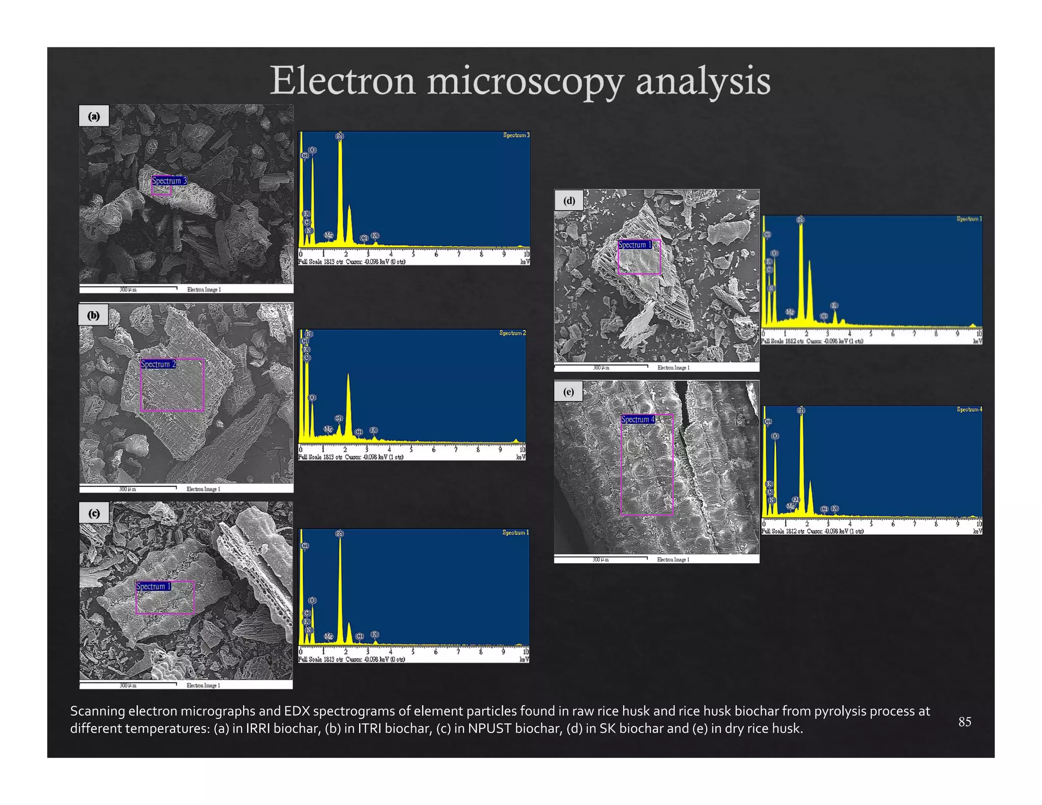 85 
(d) 
(e) 
Scanning electron micrographs and EDX spectrograms of element particles found in raw rice husk and rice husk biochar from pyrolysis process at 
different temperatures: (a) in IRRI biochar, (b) in ITRI biochar, (c) in NPUST biochar, (d) in SK biochar and (e) in dry rice husk. 
 