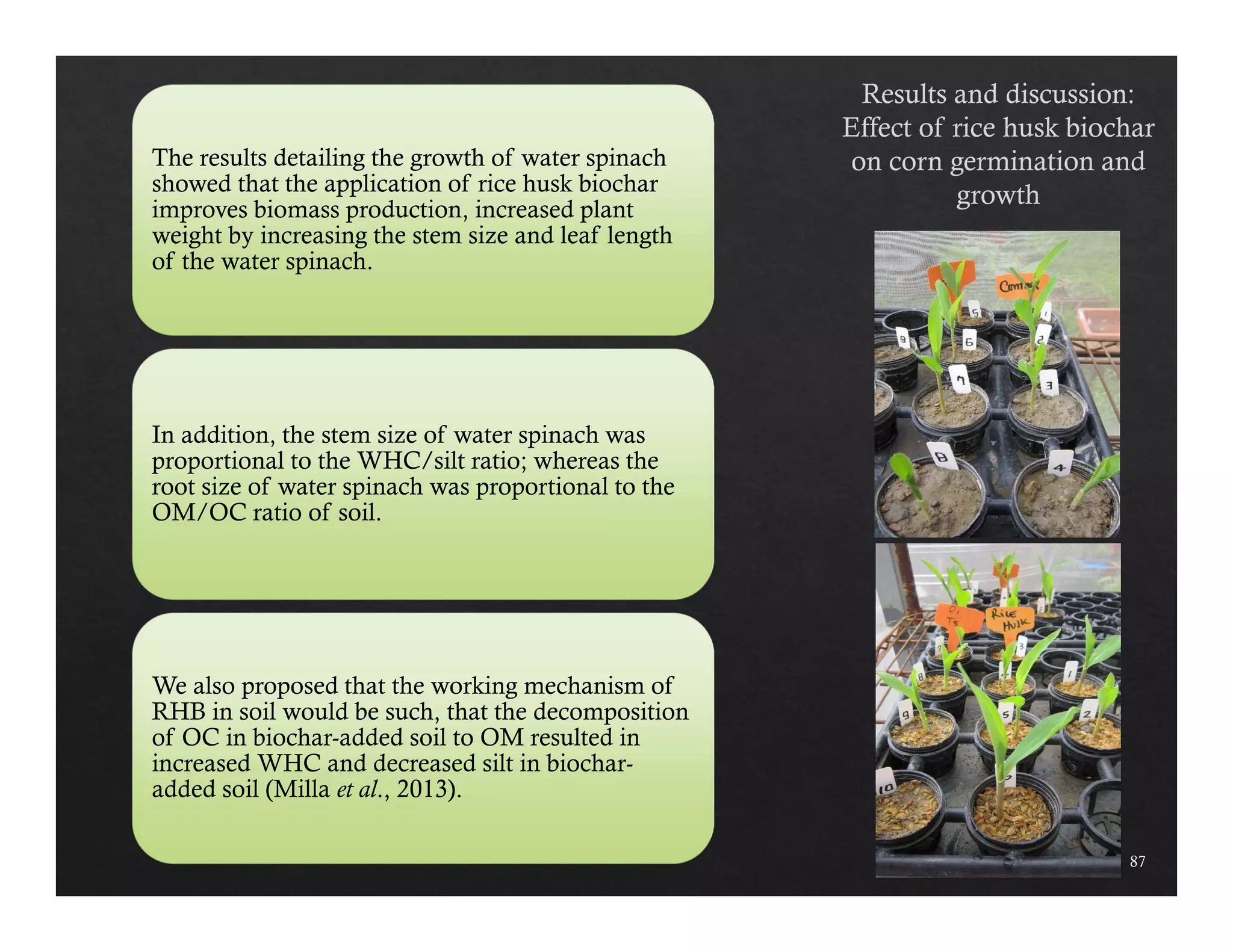 87 
The results detailing the growth of water spinach 
showed that the application of rice husk biochar 
improves biomass production, increased plant 
weight by increasing the stem size and leaf length 
of the water spinach. 
In addition, the stem size of water spinach was 
proportional to the WHC/silt ratio; whereas the 
root size of water spinach was proportional to the 
OM/OC ratio of soil. 
We also proposed that the working mechanism of 
RHB in soil would be such, that the decomposition 
of OC in biochar-added soil to OM resulted in 
increased WHC and decreased silt in biochar-added 
soil (Milla et al., 2013). 
 