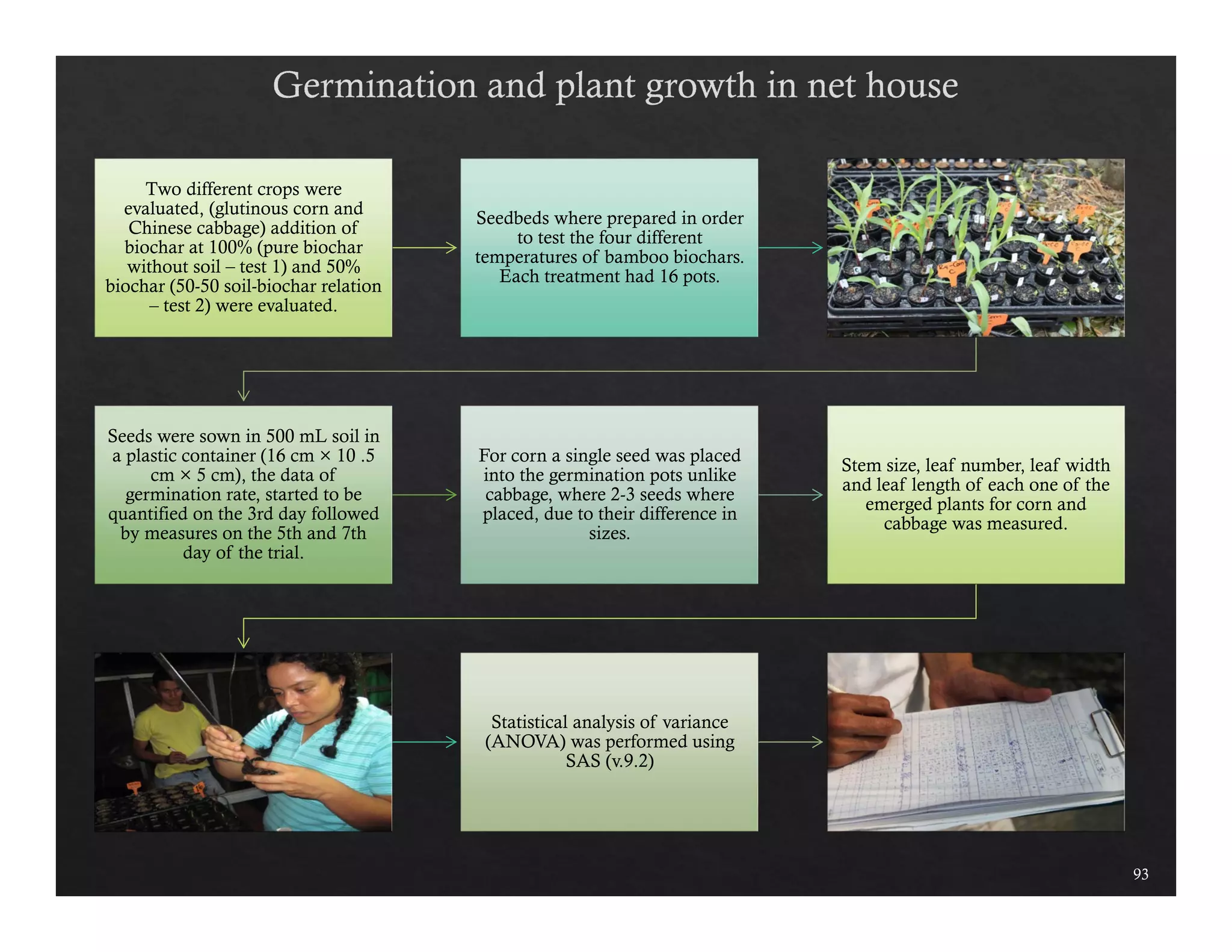 Two different crops were 
evaluated, (glutinous corn and 
Chinese cabbage) addition of 
biochar at 100% (pure biochar 
without soil – test 1) and 50% 
biochar (50-50 soil-biochar relation 
– test 2) were evaluated. 
Seedbeds where prepared in order 
to test the four different 
temperatures of bamboo biochars. 
Each treatment had 16 pots. 
Seeds were sown in 500 mL soil in 
a plastic container (16 cm × 10 .5 
cm × 5 cm), the data of 
germination rate, started to be 
quantified on the 3rd day followed 
by measures on the 5th and 7th 
day of the trial. 
For corn a single seed was placed 
into the germination pots unlike 
cabbage, where 2-3 seeds where 
placed, due to their difference in 
sizes. 
Stem size, leaf number, leaf width 
and leaf length of each one of the 
emerged plants for corn and 
cabbage was measured. 
Statistical analysis of variance 
(ANOVA) was performed using 
SAS (v.9.2) 
93 
 