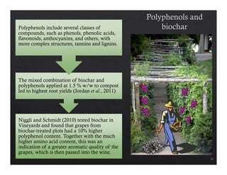 Preparation and Plant-growth Efficiency Assessment of Biochars