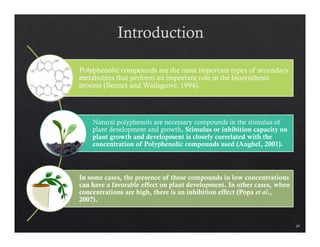Preparation and Plant-growth Efficiency Assessment of Biochars