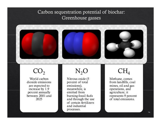 Phd thesis on biochar