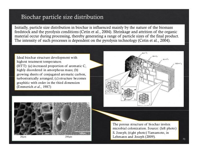 Phd thesis on biochar