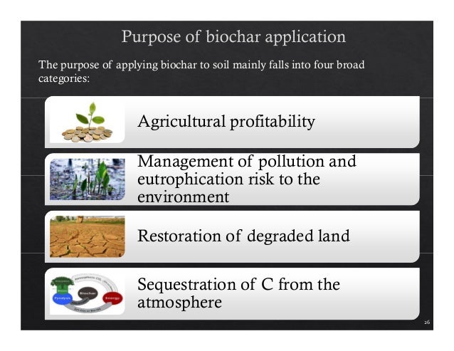 Phd thesis on biochar
