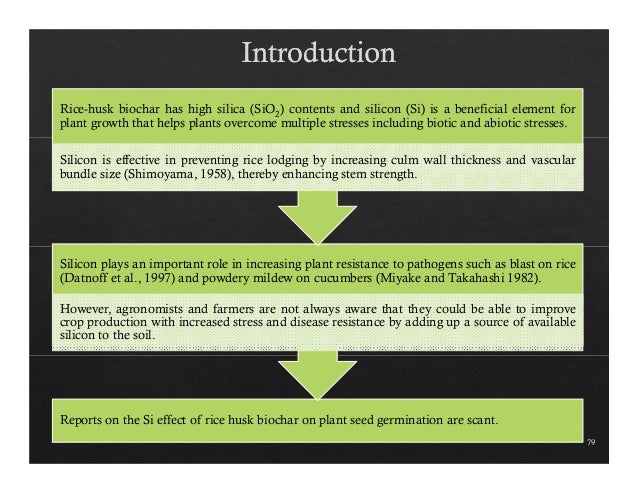 Phd thesis on biochar