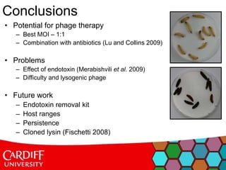 • Potential for phage therapy
– Best MOI – 1:1
– Combination with antibiotics (Lu and Collins 2009)
• Problems
– Effect of endotoxin (Merabishvili et al. 2009)
– Difficulty and lysogenic phage
• Future work
– Endotoxin removal kit
– Host ranges
– Persistence
– Cloned lysin (Fischetti 2008)
Conclusions
 