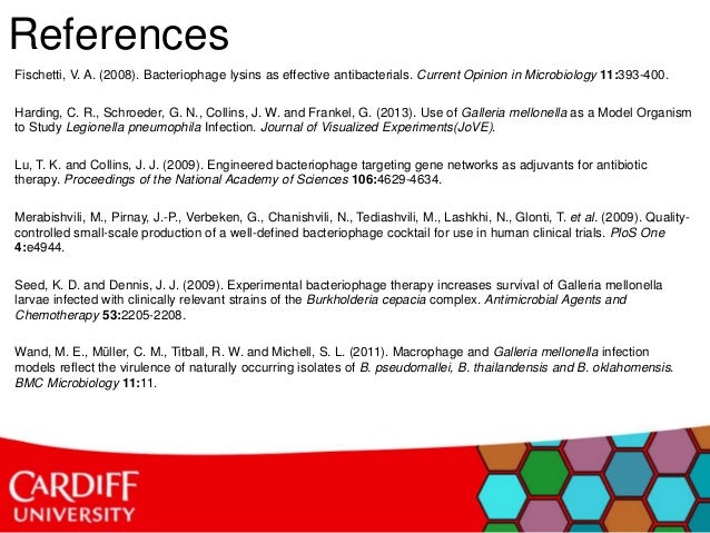 Dissertation Presentation Ashley Otter