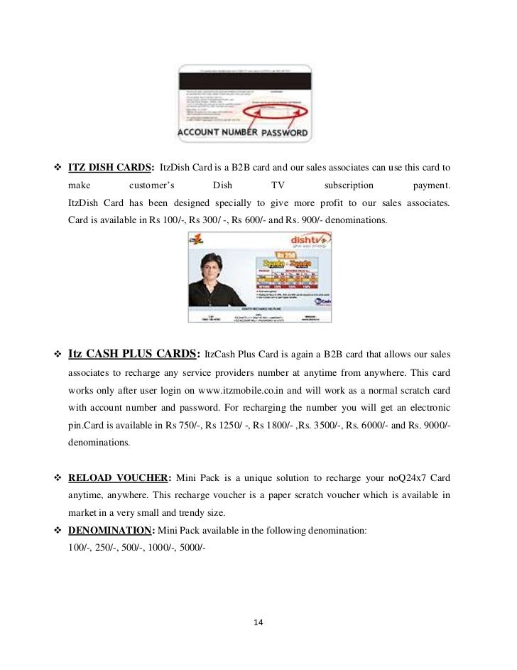 Dissertation project on dth services