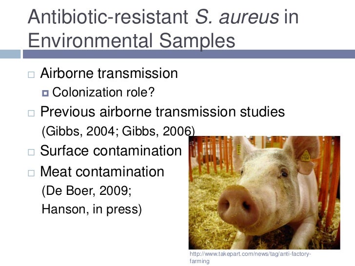 Phd thesis on staphylococcus aureus