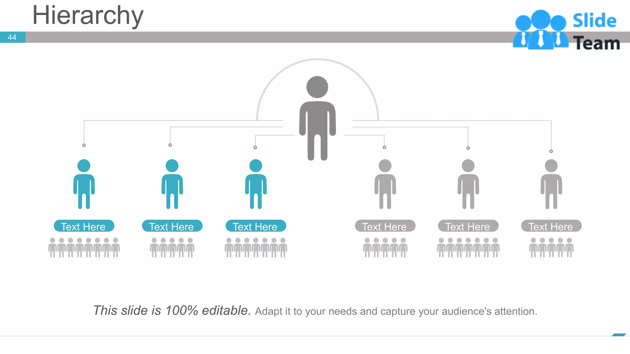 Hierarchy
44
www.company.com
Text Here Text Here Text Here Text Here Text Here Text Here
This slide is 100% editable. Adapt it to your needs and capture your audience's attention.
 