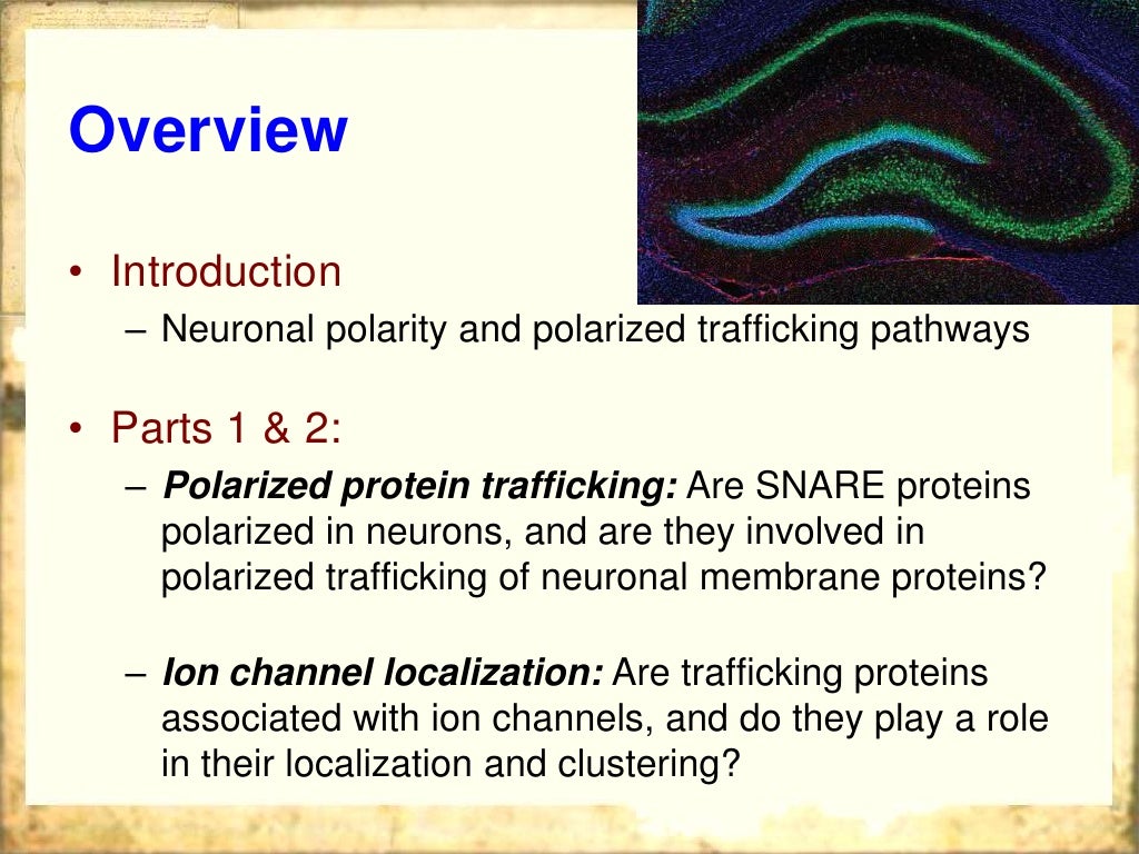 Dissertation pdf picture