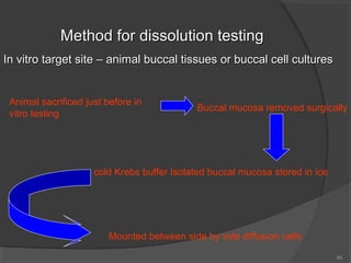 Method for dissolution testing
In vitro target site – animal buccal tissues or buccal cell cultures

Animal sacrificed just before in
vitro testing

Buccal mucosa removed surgically

cold Krebs buffer Isolated buccal mucosa stored in ice

Mounted between side by side diffusion cells
80

 