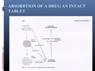 ABSORBTION OF A DRUG AN INTACT
TABLET
 
