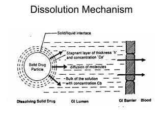 Dissolution Mechanism
 