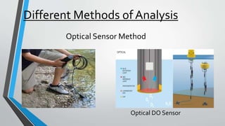 Different Methods ofAnalysis
Optical Sensor Method
Optical DO Sensor
 