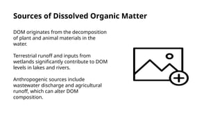 Dissolved Solids And Dissolved Organic Matters In Limnology.pptx