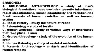 BRANCHES:
1. BIOLOGICAL ANTHROPOLOGY – study of man’s
biological foundations, race evolution, genetic inheritance,
racial classifications, human adaptability and variation, the
fossil records of human evolution as well as forensic
studies.
A. Racial History – study the nature of races
B. Paleontology – study of fossils
C. Human Genetics – study of various ways of inheritance
that take place in man
D. Neuroanthropology – study of the evolution of the human
brain
E. Human Osteology – study of skeletal materials
F. Forensic Anthropology – analysis and identification of
human remains
 