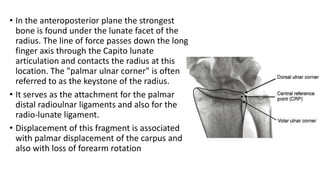 • In the anteroposterior plane the strongest
bone is found under the lunate facet of the
radius. The line of force passes down the long
finger axis through the Capito lunate
articulation and contacts the radius at this
location. The "palmar ulnar corner" is often
referred to as the keystone of the radius.
• It serves as the attachment for the palmar
distal radioulnar ligaments and also for the
radio-lunate ligament.
• Displacement of this fragment is associated
with palmar displacement of the carpus and
also with loss of forearm rotation
 