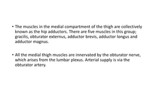 • The muscles in the medial compartment of the thigh are collectively
known as the hip adductors. There are five muscles in this group;
gracilis, obturator externus, adductor brevis, adductor longus and
adductor magnus.
• All the medial thigh muscles are innervated by the obturator nerve,
which arises from the lumbar plexus. Arterial supply is via the
obturator artery.
 