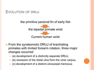 EVOLUTION OF DRUJ
 From the syndesmotic DRUJ of brachiating
primates with limited forearm rotation, three major
changes occurred
 (a) development of a distinctly separate DRUJ,
 (b) recession of the distal ulna from the ulnar carpus,
 (c) development of a distinct ulnocarpal meniscus
the primitive pectoral fin of early fish
the bipedal primate wrist
Current human wrist
 