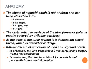 ANATOMY
 The shape of sigmoid notch is not uniform and has
been classified into-
 1) flat face,
 2) ski slope,
 3) C type, and
 4) S type
 The distal articular surface of the ulna (dome or pole) is
mostly covered by articular cartilage.
 At the base of the ulnar styloid is a depression called
fovea, which is devoid of cartilage.
 Differential arc of curvature of ulna and sigmoid notch
 In pronation, the ulna translates 2.8 mm dorsally and distally
from a neutral position
 in supination, the ulna translates 5.4 mm volarly and
proximally from a neutral position
 