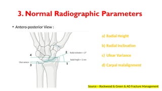 DISTAL RADIUS . p p t x | PPTX