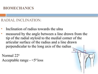 DISTAL RADIUS ANATOMY AND RADIOLOGY INCLUDING SURGICAL ANATOMY | PPTX