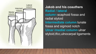 Jakob and his coauthers
Radial / lateral
column:scaphoid fossa and
radial styloid
Intermediate column:lunate
fossa and sigmoid notch
Ulnar /medial column:ulnar
styloid,tfcc,ulnocarpal ligaments
 