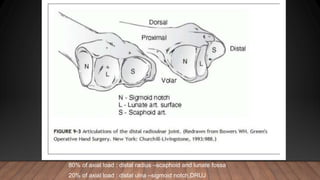 80% of axial load : distal radius –scaphoid and lunate fossa
20% of axial load : distal ulna –sigmoid notch,DRUJ
 