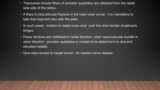 • Transverse muscle fibers of pronater quadratus are released from the radial
side side of the radius
• If there is intra articular fracture in the volar ulnar corner , it is mandatory to
take that fragment also with the plate
• In such cases , incision is made more ulnar ,over the ulnar border of palmaris
longus
• Flexor tendons are mobilised in radial direction ,ulnar neurovascular bundle in
ulnar direction ; pronator quadratus is incised at its attachment to ulna and
elevated radially
• Give easy access to carpel tunnel , for median nerve release
 