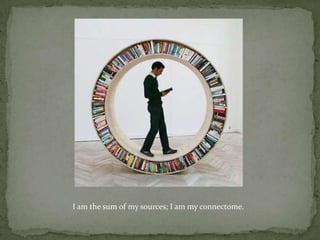 I am the sum of my sources; I am my connectome.