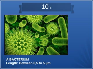 10 -6 
A BACTERIUM 
Length: Between 0,5 to 5 μm 
 
