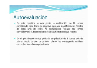Autoevaluación
 En esta practica se nos pedía la realización de 12 tomas
  cambiando cada toma de objetivo para ver las diferencias focales
  de cada uno de ellos: he conseguido realizar las tomas
  correctamente , las de teleobjetivo las he tenido que repetir.

 En el positivado se nos pedía la ampliación de 4 tomas dos de
  plano medio y dos de primer plano: he conseguido realizar
  correctamente las ampliaciones.
 