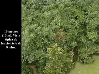 10 metros (10 1 m). Vista típica de funcionário da Rioluz. 