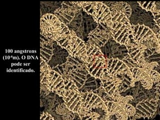 100 angstrons (10 -8 m). O DNA pode ser identificado. 