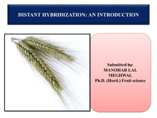 DISTANT HYBRIDIZATION: AN INTRODUCTION
Submitted by:
MANOHAR LAL
MEGHWAL
Ph.D. (Horti.) Fruit science
 
