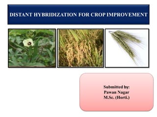 DISTANT HYBRIDIZATION FOR CROP IMPROVEMENT
Submitted by:
Pawan Nagar
M.Sc. (Horti.)
 
