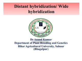 Distant hybridization/ Wide
hybridization
Dr Anand Kumar
Department of Plant Breeding and Genetics
Bihar Agricultural University, Sabour
(Bhagalpur)
 